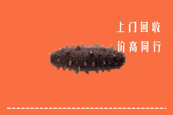 高价求购：柳南区回收海参