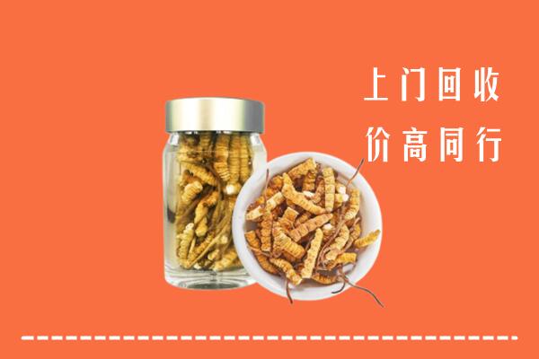 柳南区回收冬虫夏草