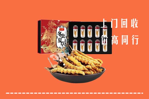 柳南区回收虫草